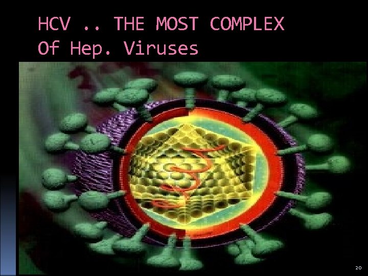 HCV. . THE MOST COMPLEX Of Hep. Viruses 20 