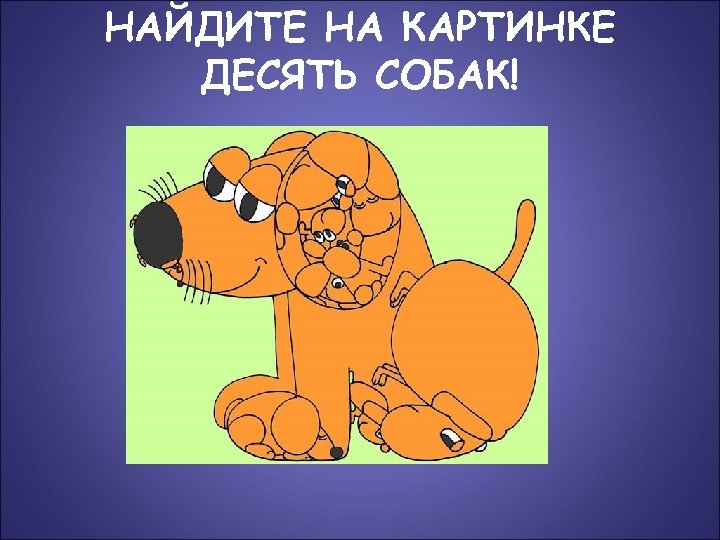НАЙДИТЕ НА КАРТИНКЕ ДЕСЯТЬ СОБАК! 