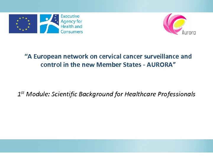 “A European network on cervical cancer surveillance and control in the new Member States
