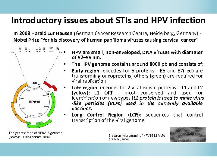Introductory issues about STIs and HPV infection In 2008 Harald zur Hausen (German Cancer