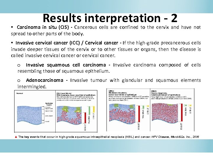 Results interpretation - 2 • Carcinoma in situ (CIS) - Cancerous cells are confined