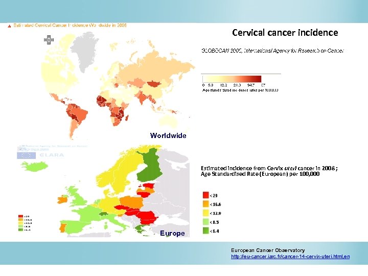 Cervical cancer incidence Worldwide Estimated incidence from Cervix uteri cancer in 2008 ; Age