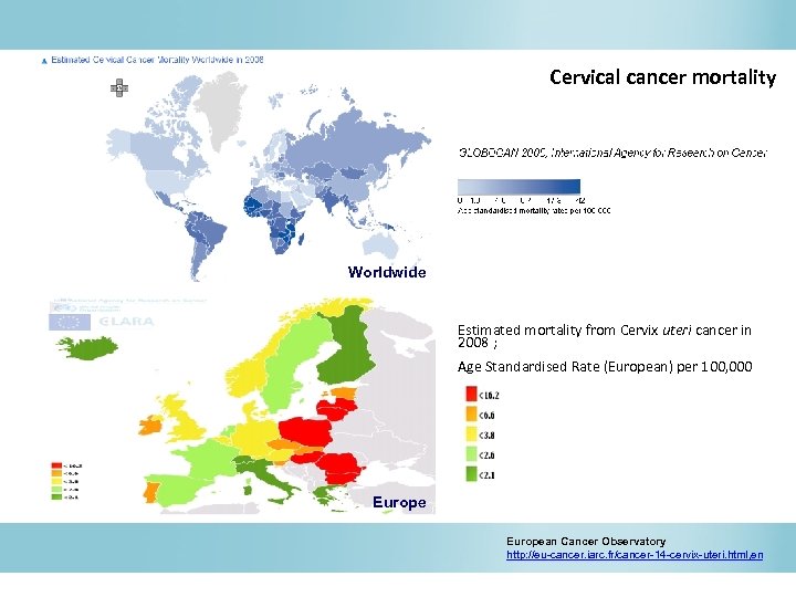 Cervical cancer mortality Worldwide Estimated mortality from Cervix uteri cancer in 2008 ; Age