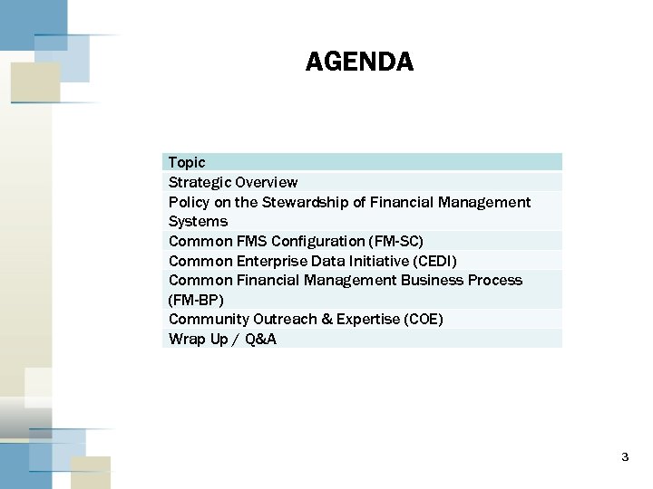 AGENDA Topic Strategic Overview Policy on the Stewardship of Financial Management Systems Common FMS