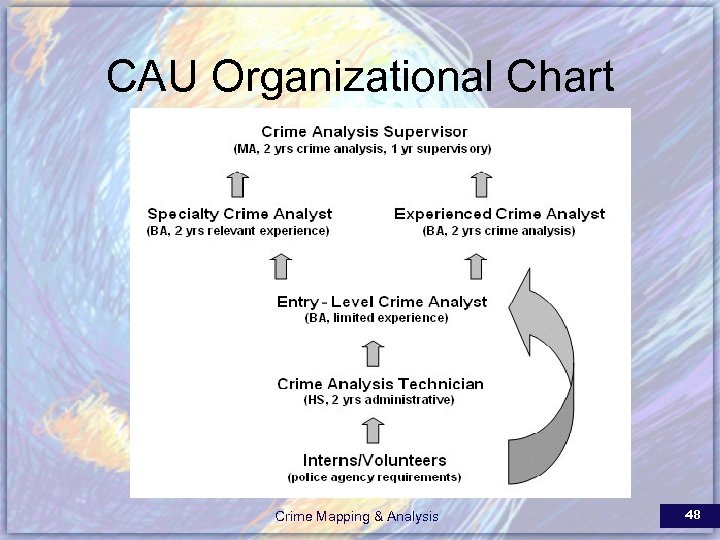 CAU Organizational Chart Crime Mapping & Analysis 48 