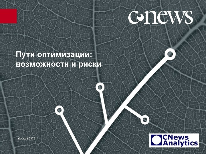 Пути оптимизации: возможности и риски Москва 2010 