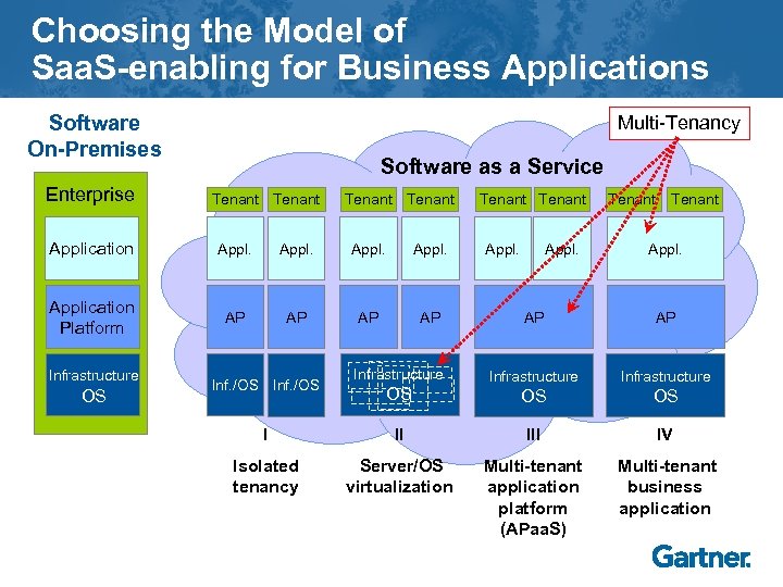 Choosing the Model of Saa. S-enabling for Business Applications Software On-Premises Enterprise Multi-Tenancy Software