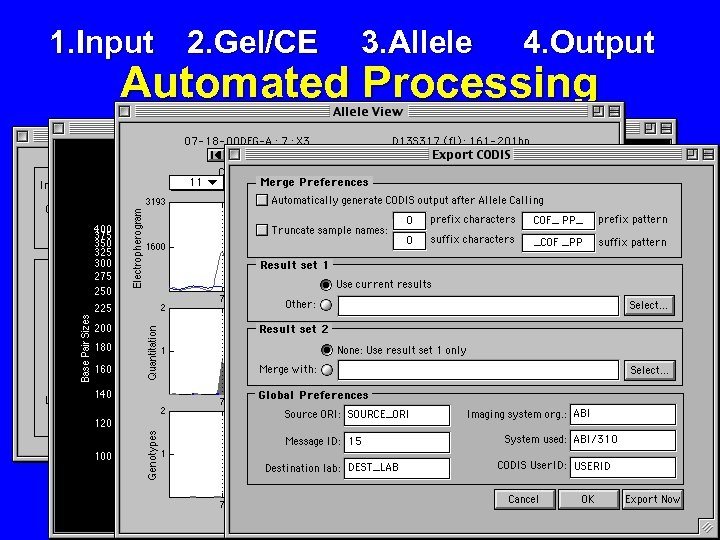 1. Input 2. Gel/CE 3. Allele 4. Output Automated Processing 