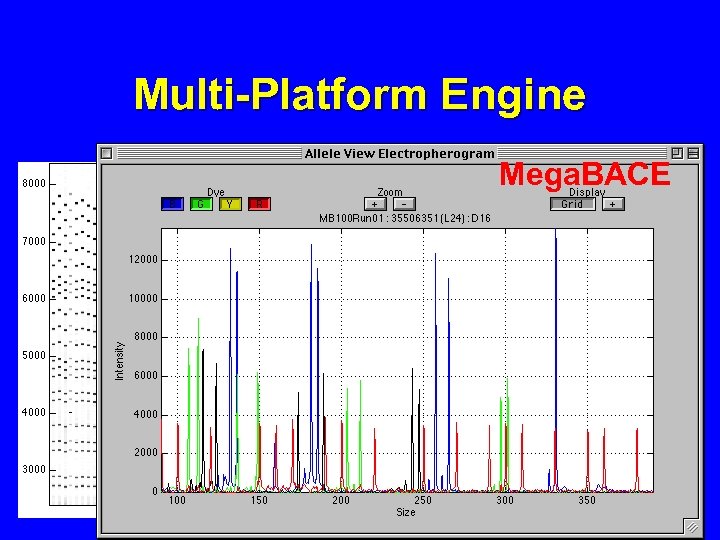 Multi-Platform Engine ABI/3100 plate Mega. BACE 