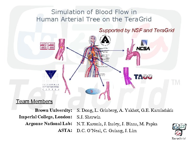 Simulation of Blood Flow in Human Arterial Tree on the Tera. Grid Supported by