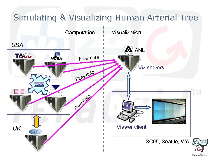 Simulating & Visualizing Human Arterial Tree Computation USA Visualization ANL Flow data a Flo