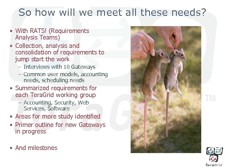 So how will we meet all these needs? • With RATS! (Requirements Analysis Teams)