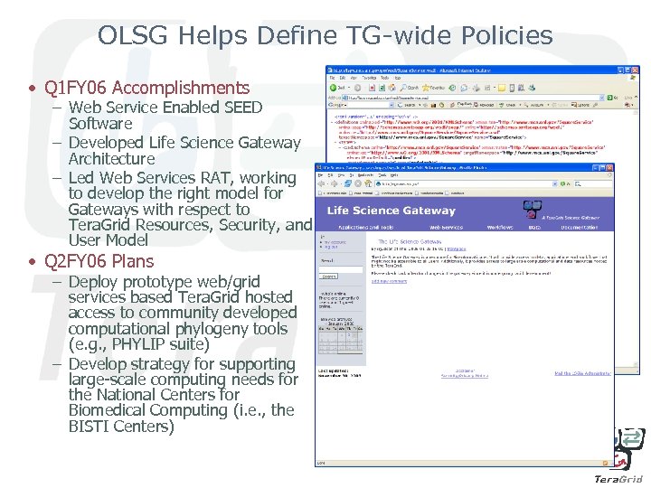 OLSG Helps Define TG-wide Policies • Q 1 FY 06 Accomplishments – Web Service