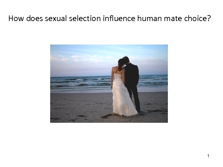 How does sexual selection influence human mate choice? 1 