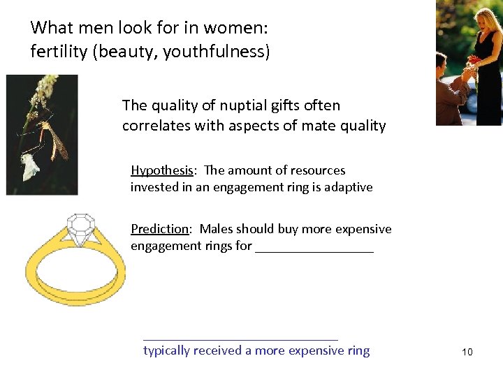 What men look for in women: fertility (beauty, youthfulness) The quality of nuptial gifts