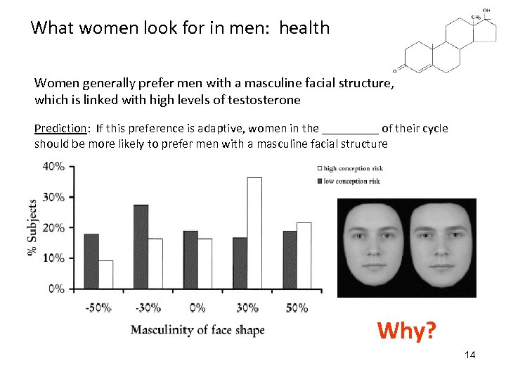 What women look for in men: health Women generally prefer men with a masculine