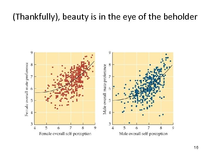 (Thankfully), beauty is in the eye of the beholder 16 