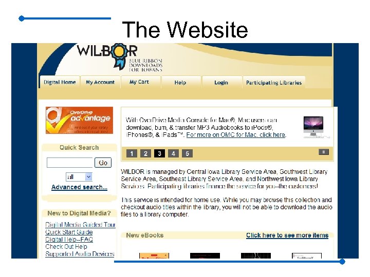 The Website 