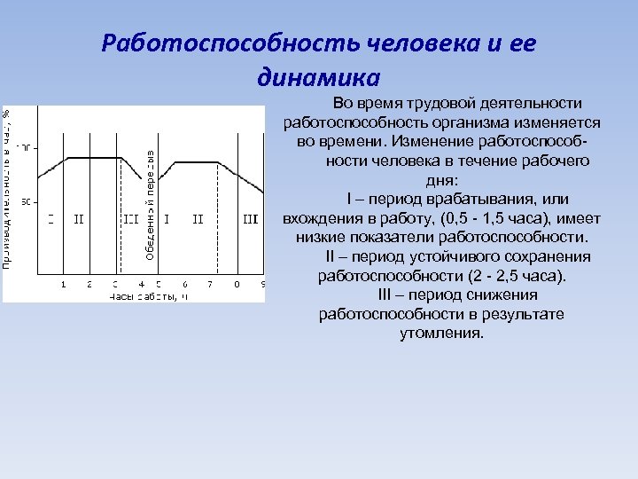 Динамика работоспособности