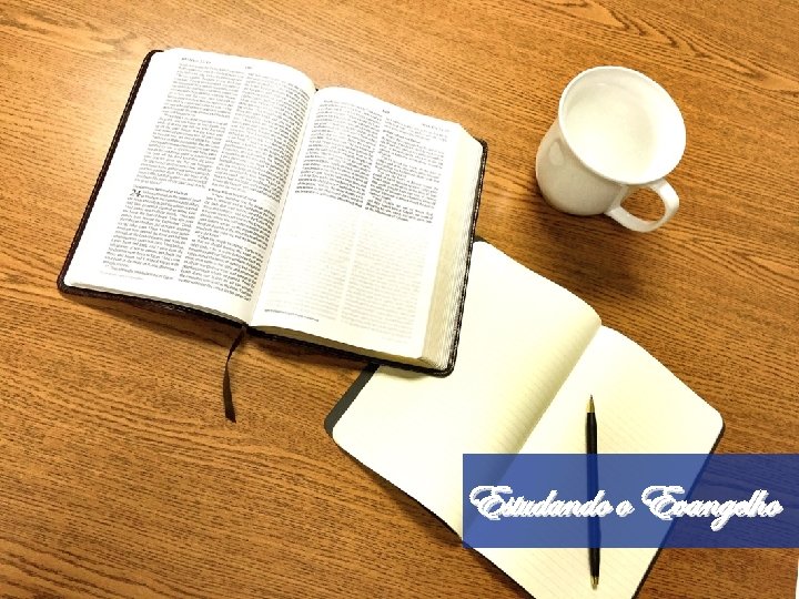 Estudando o Evangelho 