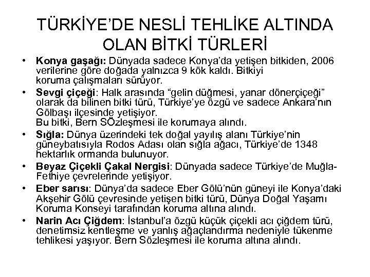 TÜRKİYE’DE NESLİ TEHLİKE ALTINDA OLAN BİTKİ TÜRLERİ • Konya gaşağı: Dünyada sadece Konya’da yetişen