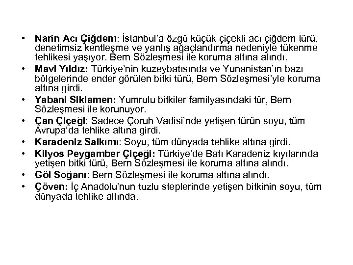  • Narin Acı Çiğdem: İstanbul’a özgü küçük çiçekli acı çiğdem türü, denetimsiz kentleşme