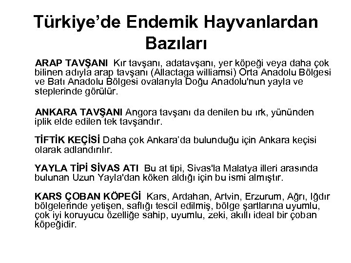 Türkiye’de Endemik Hayvanlardan Bazıları ARAP TAVŞANI Kır tavşanı, adatavşanı, yer köpeği veya daha çok