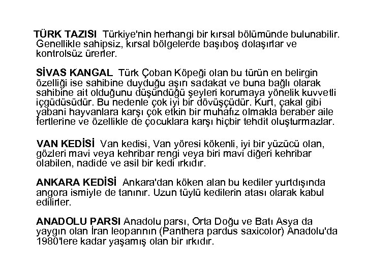  TÜRK TAZISI Türkiye'nin herhangi bir kırsal bölümünde bulunabilir. Genellikle sahipsiz, kırsal bölgelerde başıboş
