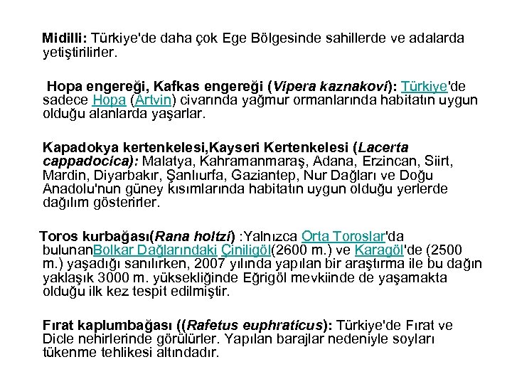  Midilli: Türkiye'de daha çok Ege Bölgesinde sahillerde ve adalarda yetiştirilirler. Hopa engereği, Kafkas