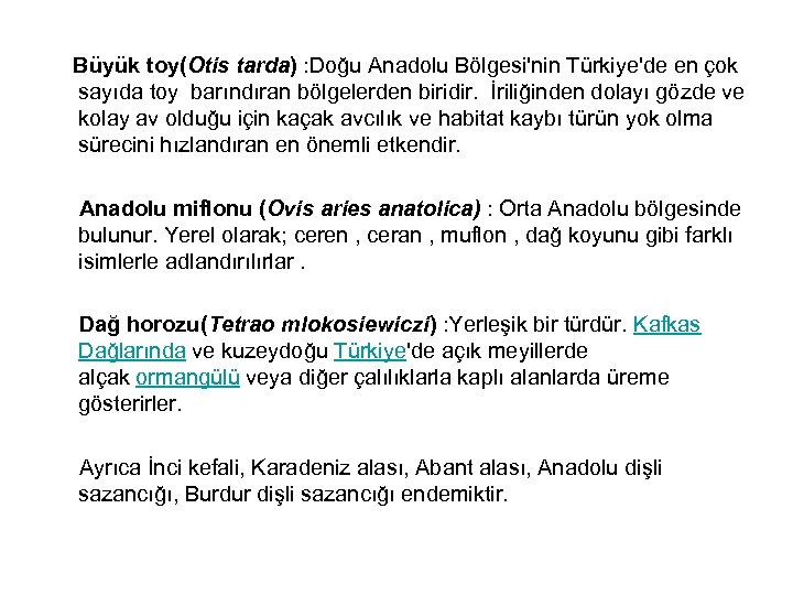 Büyük toy(Otis tarda) : Doğu Anadolu Bölgesi'nin Türkiye'de en çok sayıda toy barındıran