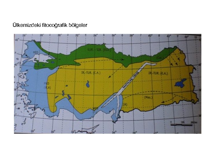 Ülkemizdeki fitocoğrafik bölgeler 
