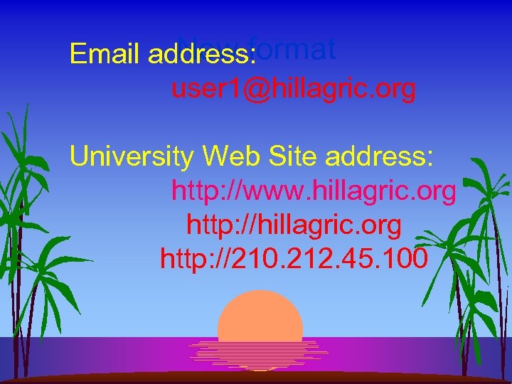 New format Email address: user 1@hillagric. org University Web Site address: http: //www. hillagric.