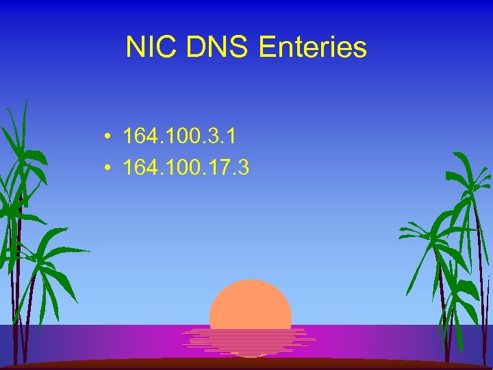 NIC DNS Enteries • 164. 100. 3. 1 • 164. 100. 17. 3 
