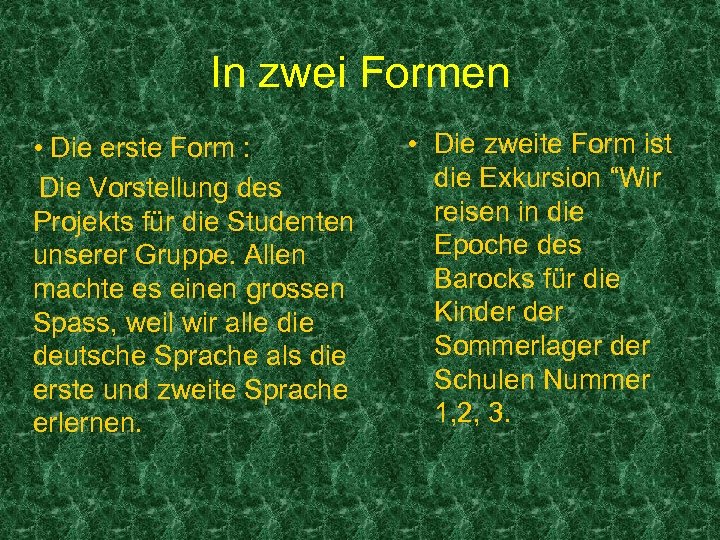 In zwei Formen • Die erste Form : Die Vorstellung des Projekts für die