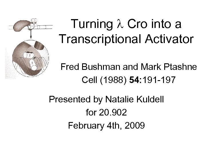 Turning Cro into a Transcriptional Activator Fred Bushman and Mark Ptashne Cell (1988) 54: