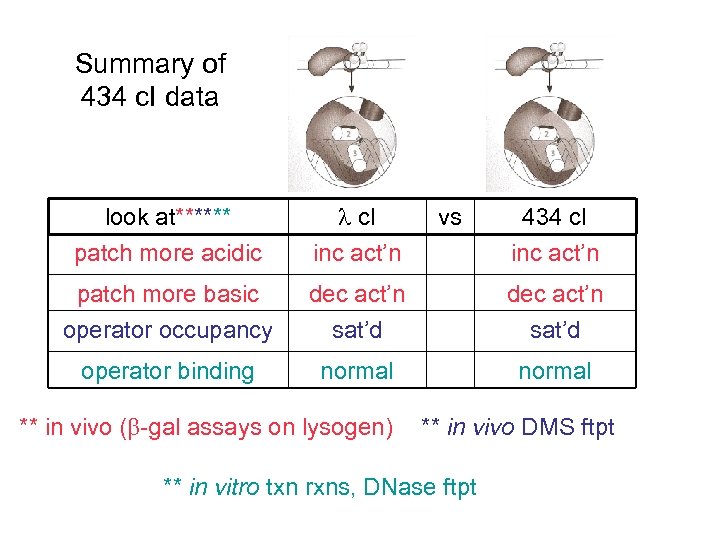 Summary of 434 c. I data look at****** patch more acidic c. I inc