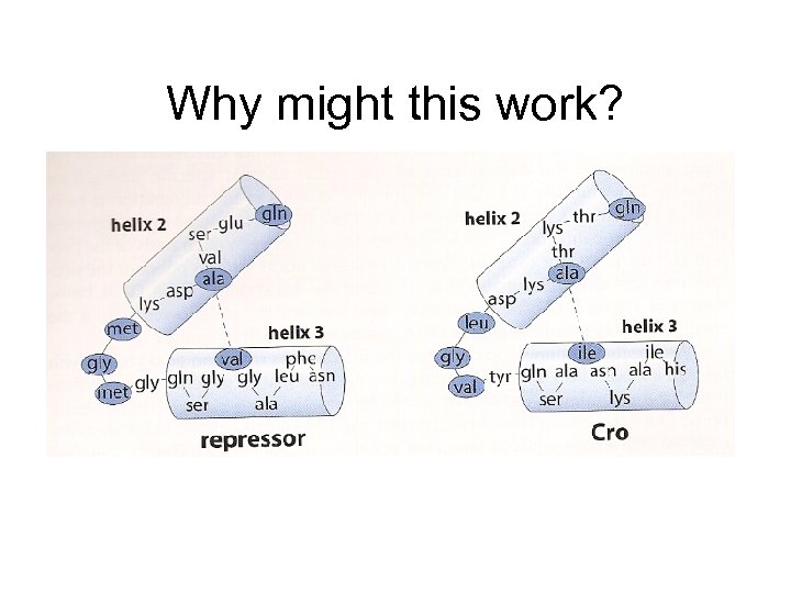 Why might this work? 