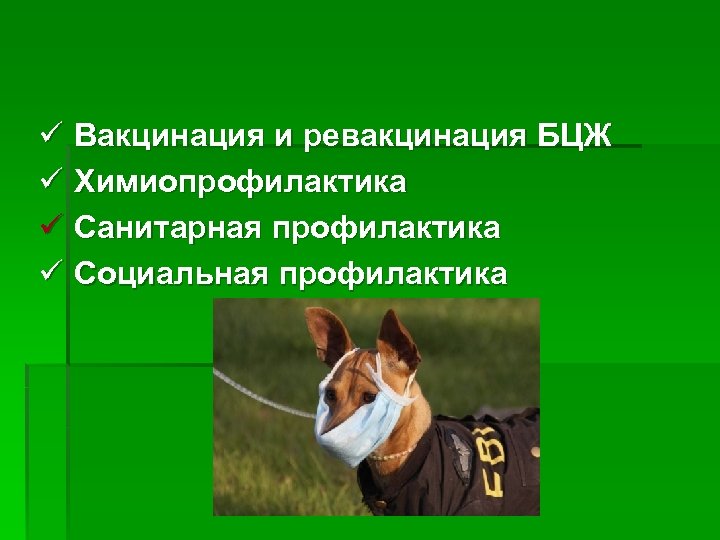 ü Вакцинация и ревакцинация БЦЖ ü Химиопрофилактика ü Санитарная профилактика ü Социальная профилактика 