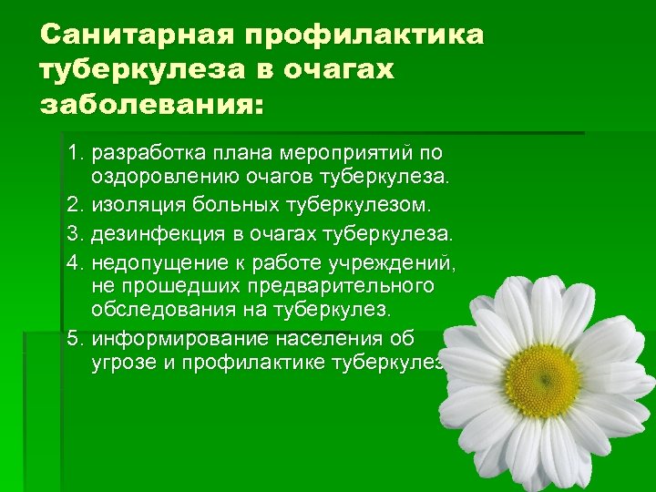 Санитарная профилактика туберкулеза в очагах заболевания: 1. разработка плана мероприятий по оздоровлению очагов туберкулеза.