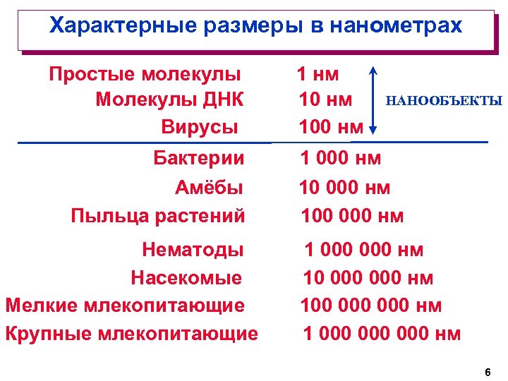 Характерные размеры в нанометрах Простые молекулы Молекулы ДНК Вирусы Бактерии Амёбы Пыльца растений Нематоды
