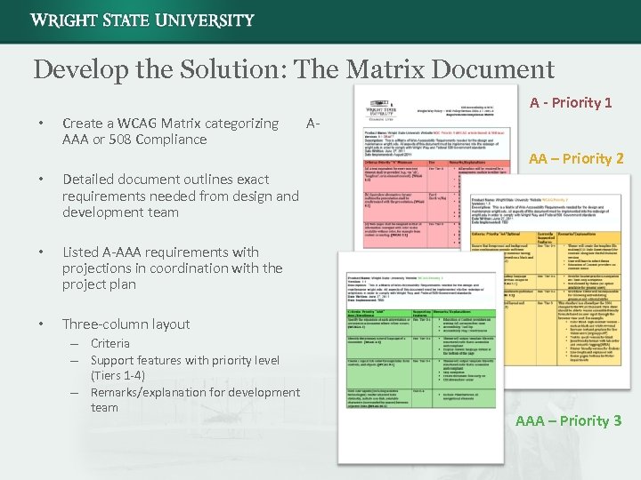 Develop the Solution: The Matrix Document A - Priority 1 • Create a WCAG