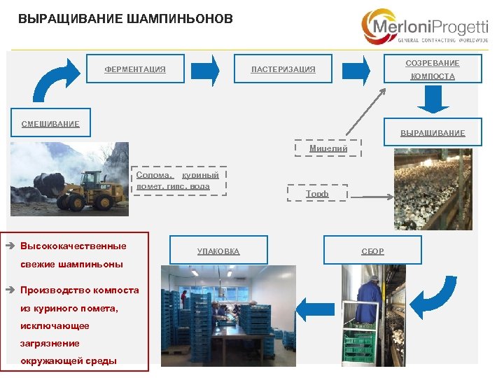 ВЫРАЩИВАНИЕ ШАМПИНЬОНОВ ФЕРМЕНТАЦИЯ СОЗРЕВАНИЕ ПАСТЕРИЗАЦИЯ КОМПОСТА СМЕШИВАНИЕ ВЫРАЩИВАНИЕ Мицелий Солома, куриный помет. гипс, вода