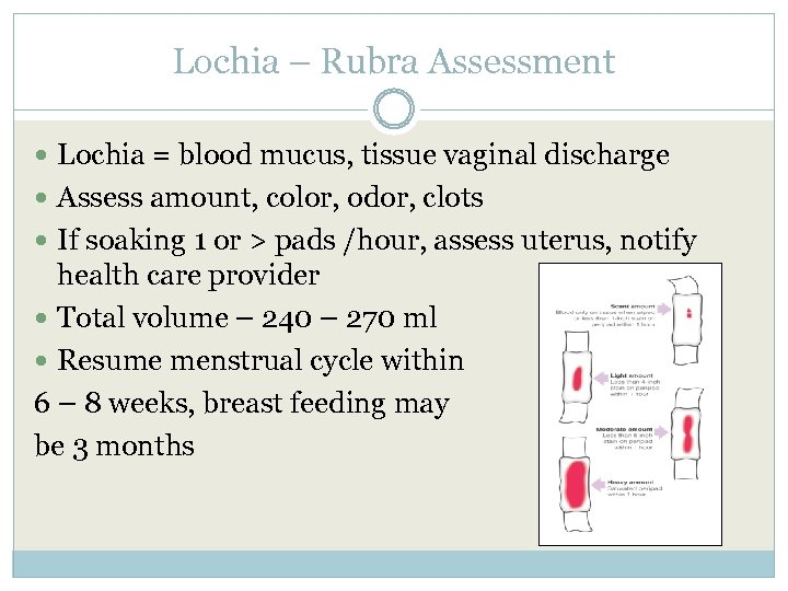 Lochia – Rubra Assessment Lochia = blood mucus, tissue vaginal discharge Assess amount, color,