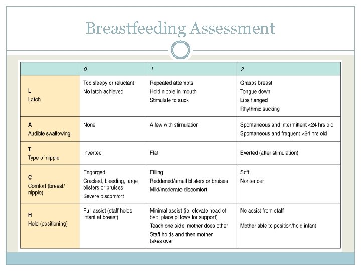 Breastfeeding Assessment 