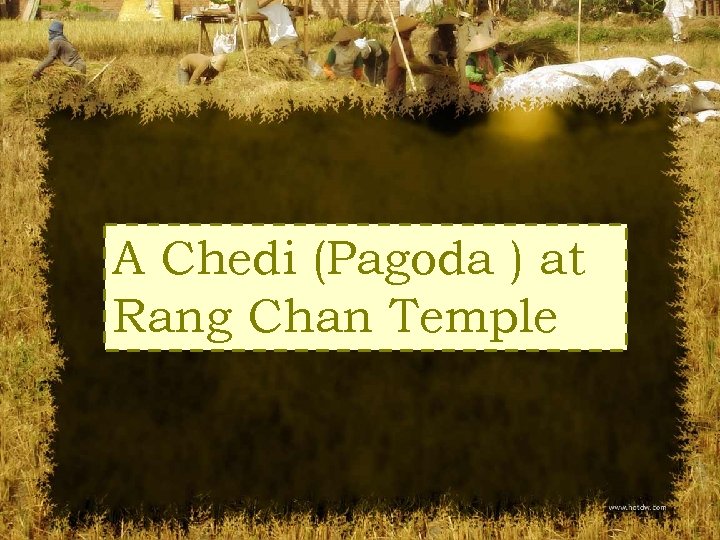 A Chedi (Pagoda ) at Rang Chan Temple 