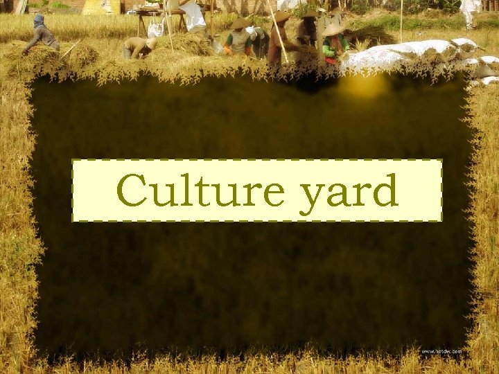 Culture yard 