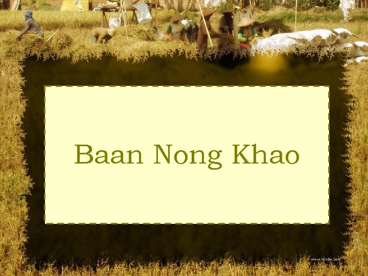 Baan Nong Khao 