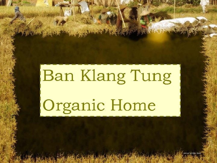 Ban Klang Tung Organic Home 