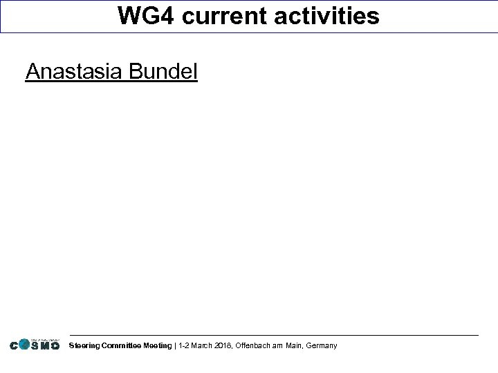 WG 4 current activities Anastasia Bundel Steering Committee Meeting | 1 -2 March 2018,