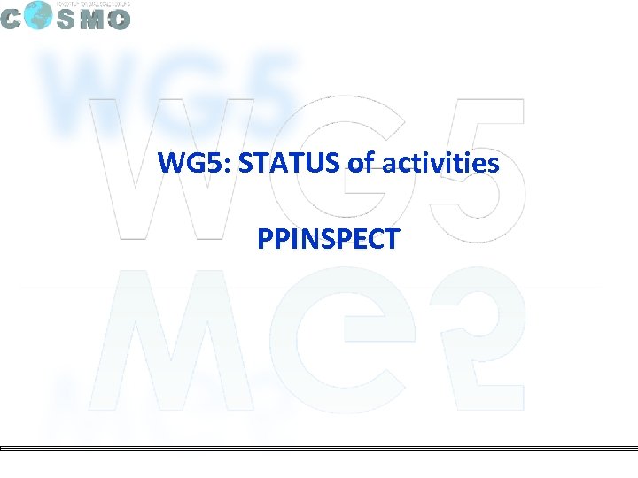 WG 5: STATUS of activities PPINSPECT 